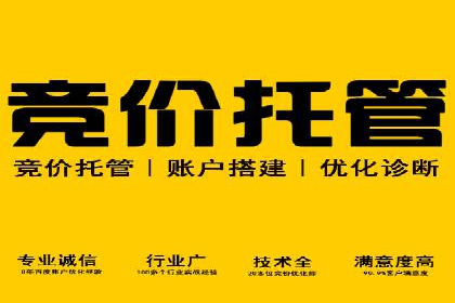 SEM运营案例：如何打造成功的广告投放策略